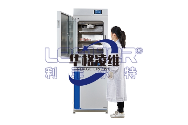 二氧化碳培养箱